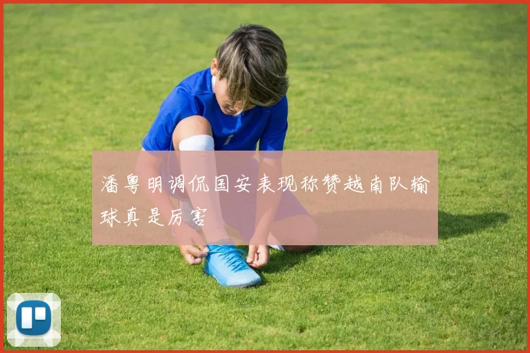 潘粤明调侃国安表现称赞越南队输球真是厉害