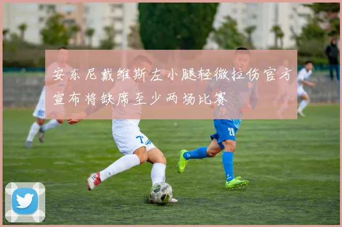 安东尼戴维斯左小腿轻微拉伤官方宣布将缺席至少两场比赛
