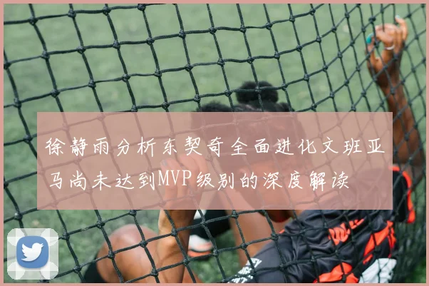 徐静雨分析东契奇全面进化文班亚马尚未达到MVP级别的深度解读