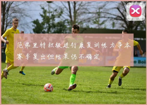 范弗里特积极进行康复训练力争本赛季复出但结果仍不确定